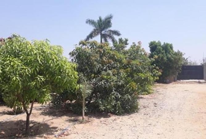 105728717 - صورة العقار 3
