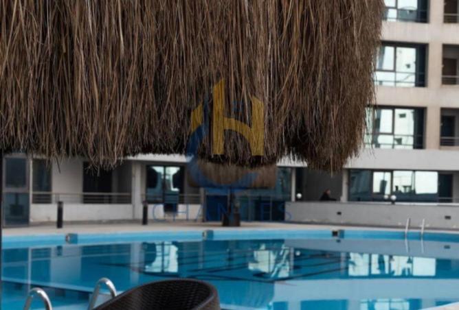 8474419 - Property Image 3