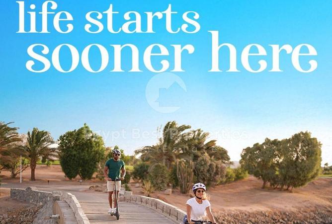 56502590 - صورة العقار 3