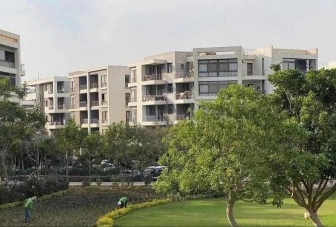 55750637 - صورة العقار 2