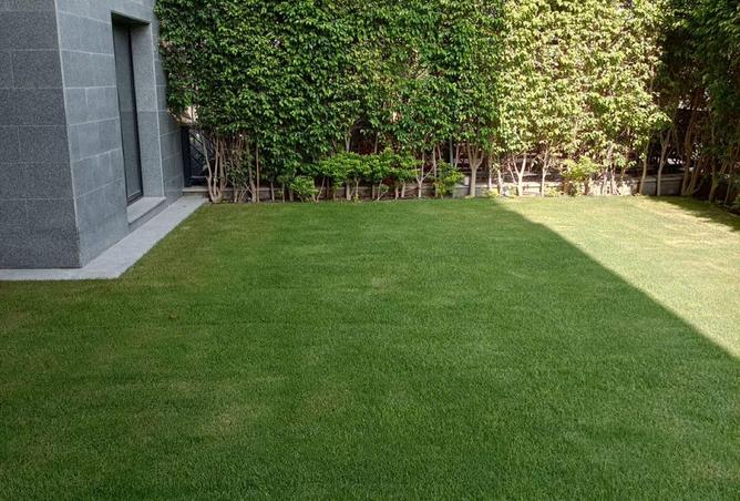 68003202 - صورة العقار 2