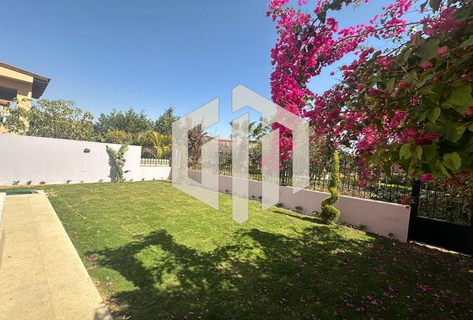 65656961 - Property Image 2