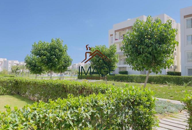 55761045 - Property Main Image