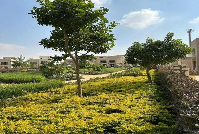 57493366 - صورة العقار 2