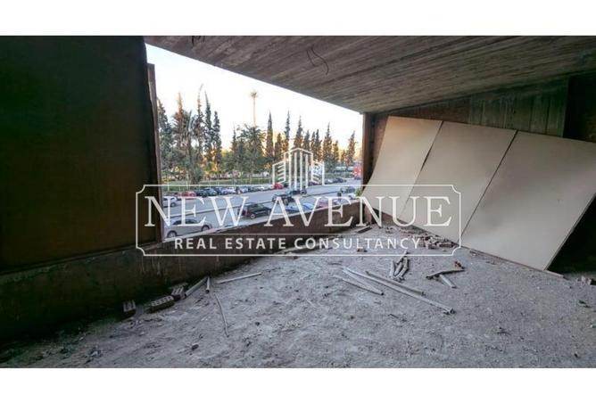 8619979 - Property Image 3