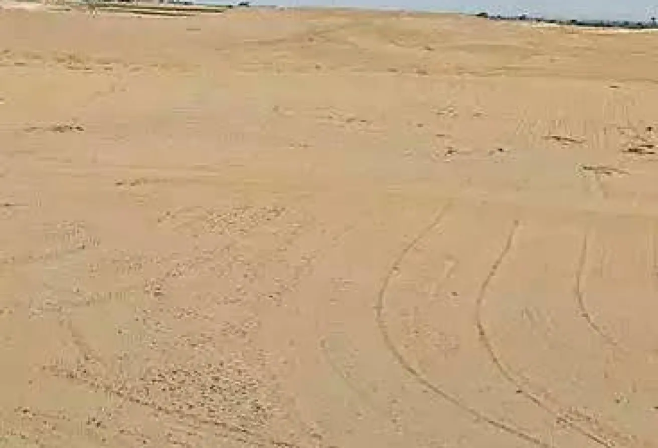 116488020 - الصورة الرئيسية للعقار