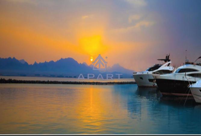 56005721 - Property Image 3