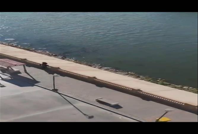 61925969 - صورة العقار 2