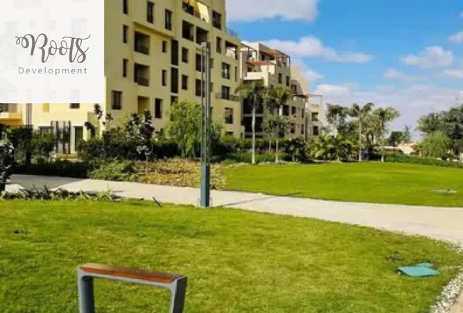 66430368 - Property Image 3