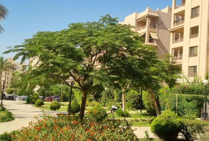 57990039 - Property Image 2