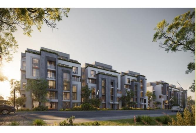 8406646 - Property Image 3