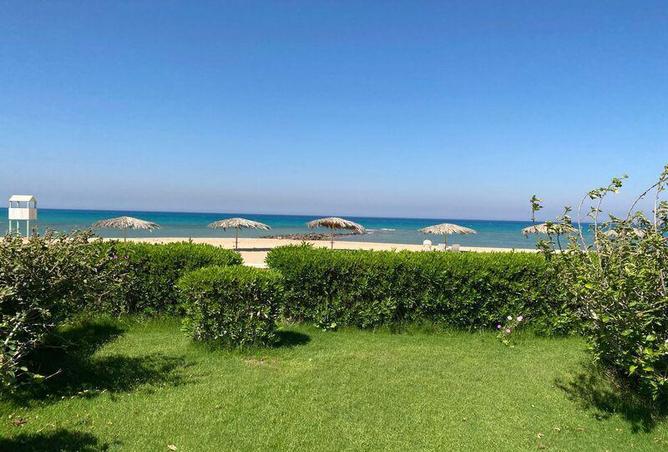 87208293 - صورة العقار 2