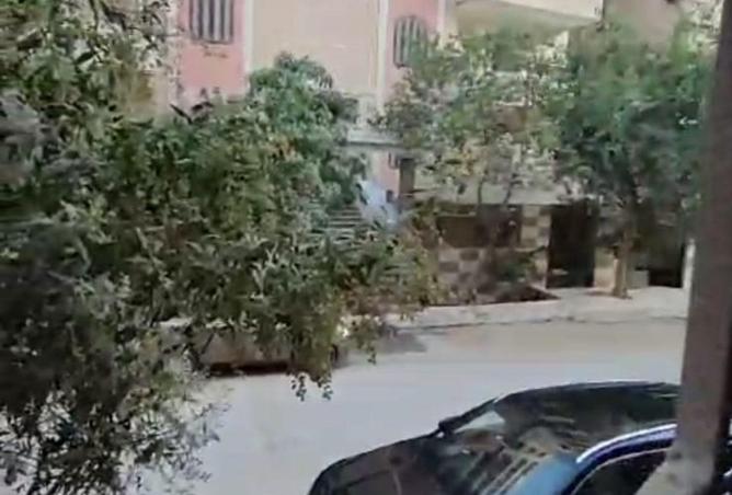 8593099 - صورة العقار 3