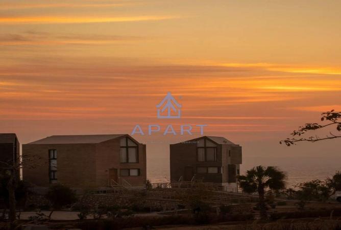 51155104 - Property Image 3