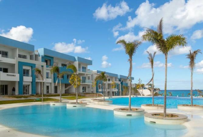 62884458 - Property Main Image