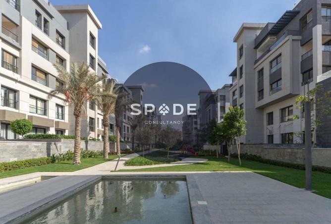 66428797 - Property Image 3