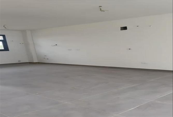 82089161 - Property Image 3