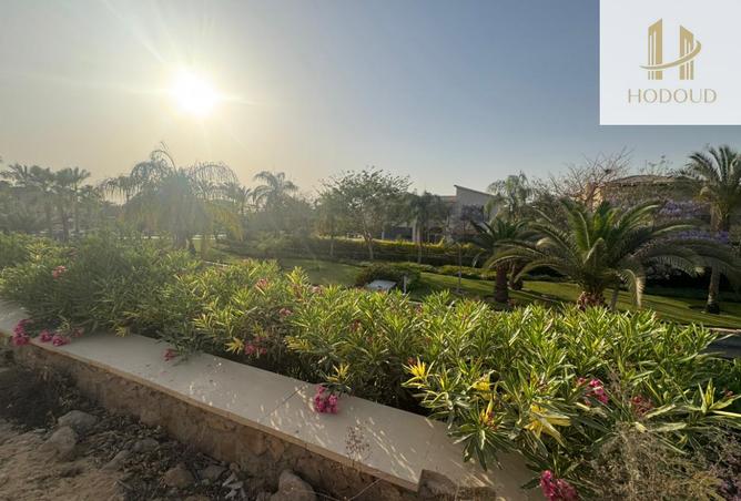 64649894 - صورة العقار 2