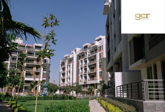 63395377 - Property Image 2