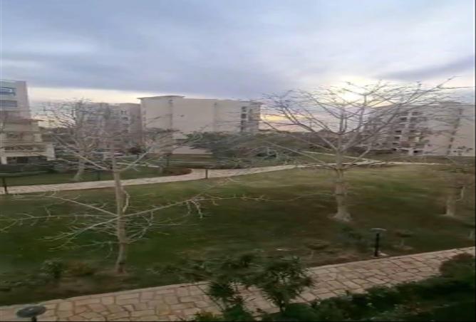 66683022 - Property Main Image