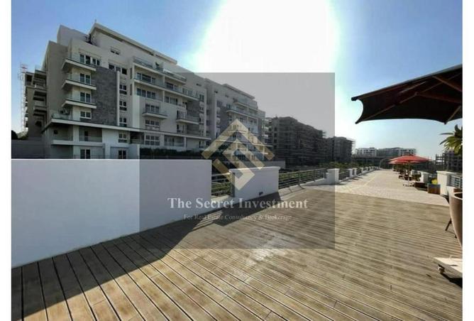 55008970 - Property Image 2