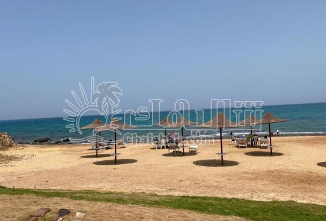 67734308 - صورة العقار 2