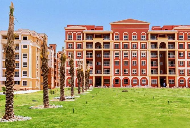 81051304 - صورة العقار 3