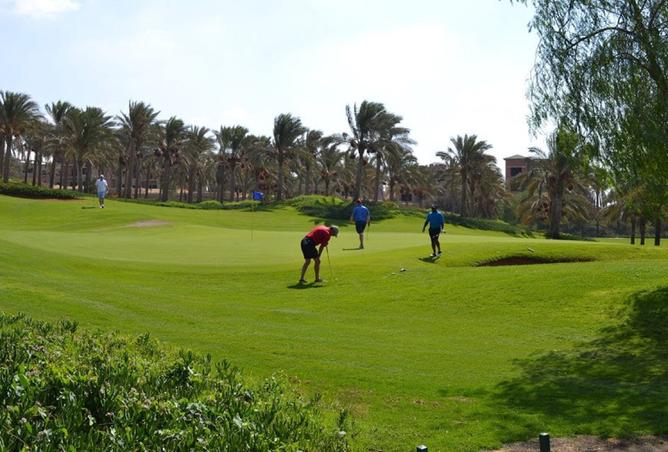 8490518 - Property Image 2