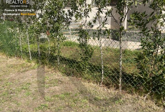 67993083 - صورة العقار 2