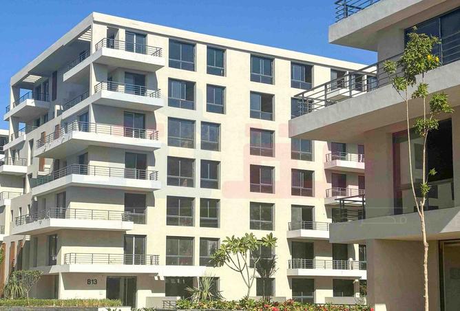 64133212 - Property Image 3