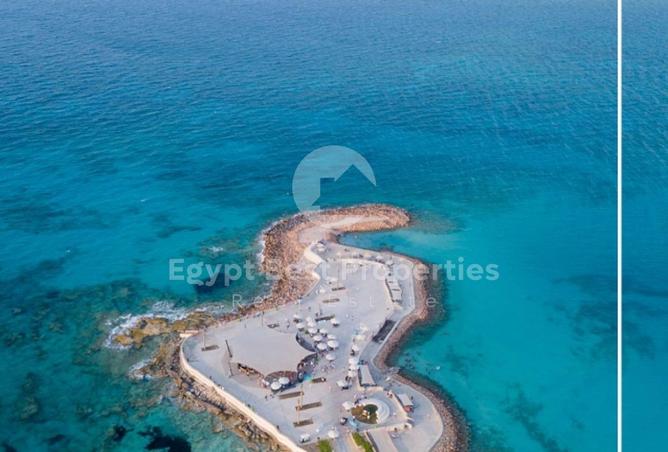 99403865 - صورة العقار 3
