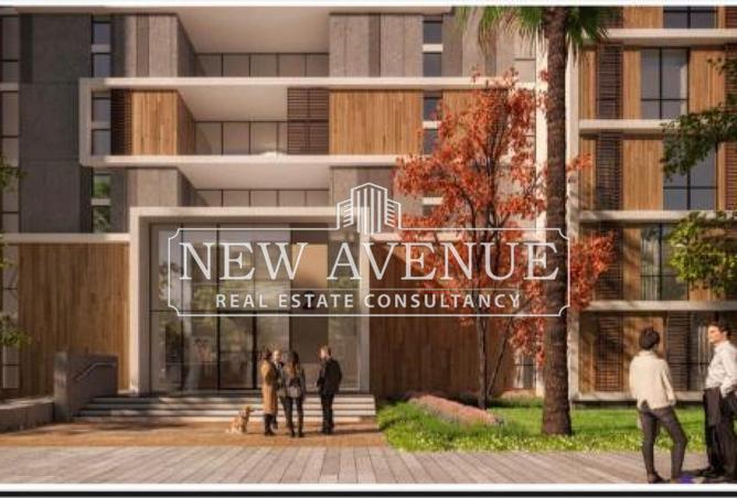 66423087 - Property Image 2