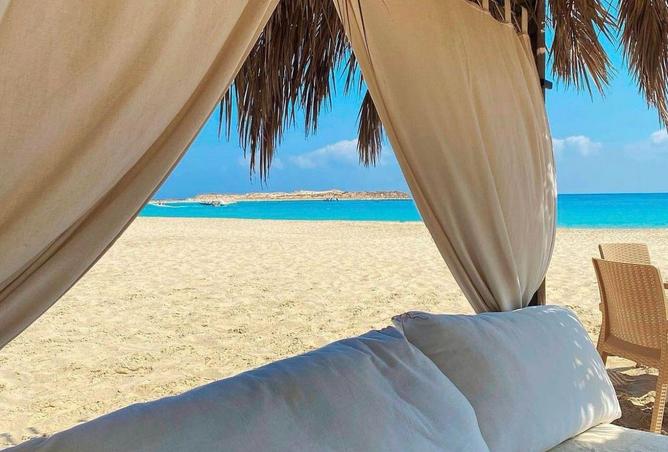 66968765 - Property Image 2