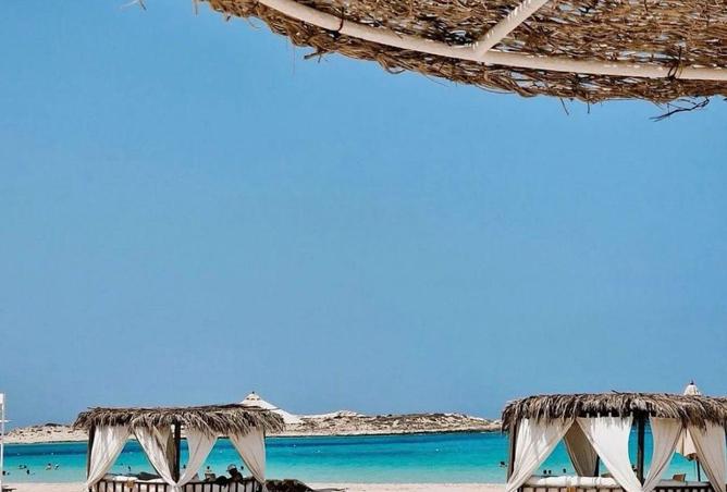 66968765 - Property Main Image