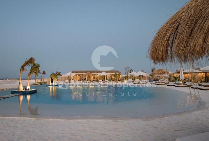 54486874 - Property Image 2