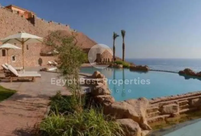 115455146 - Property Image 3