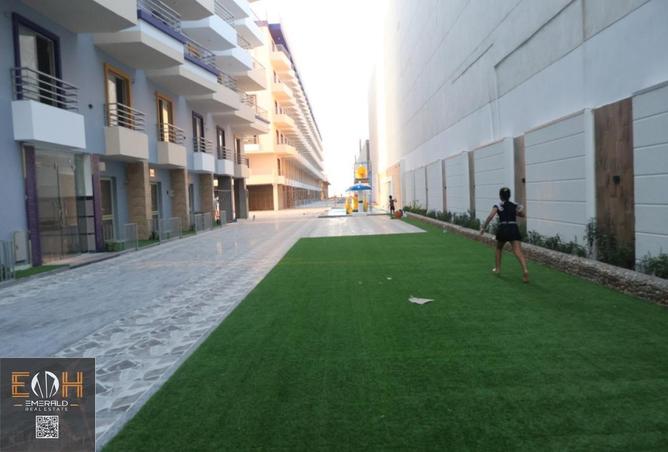 8587887 - Property Image 3