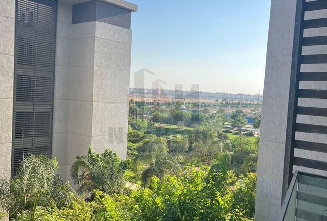 75675599 - صورة العقار 3
