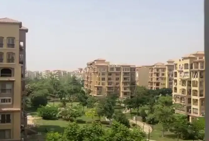 117280591 - Property Image 2