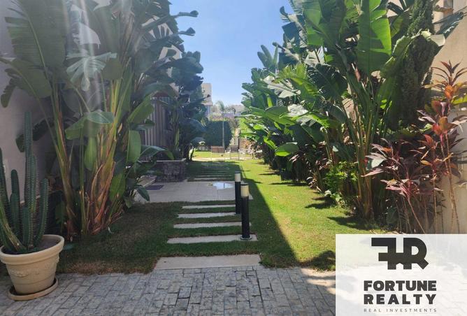 57237917 - Property Image 2