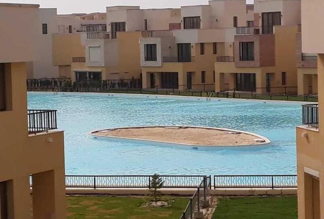 51172716 - Property Image 3