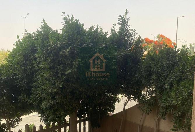 72452402 - الصورة الرئيسية للعقار