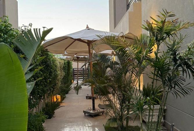 68790684 - صورة العقار 2