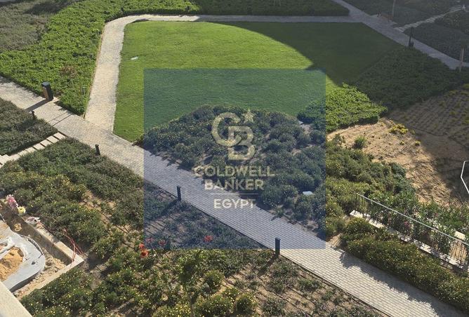 66686046 - صورة العقار 3