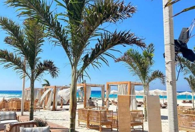 66683824 - Property Image 3