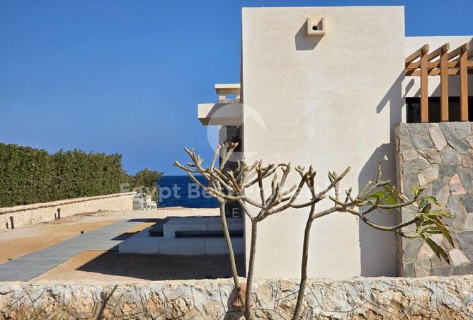 66175511 - Property Image 3