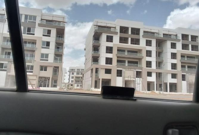 78135764 - Property Image 3