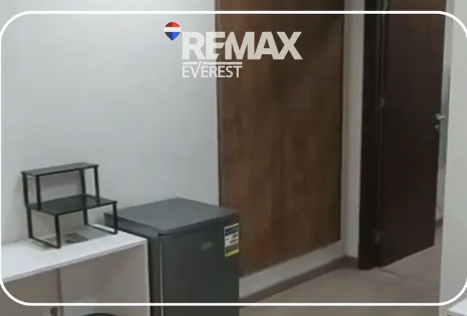 113818457 - Property Image 2