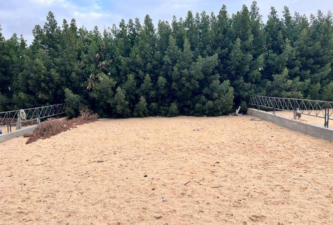 55002893 - صورة العقار 3