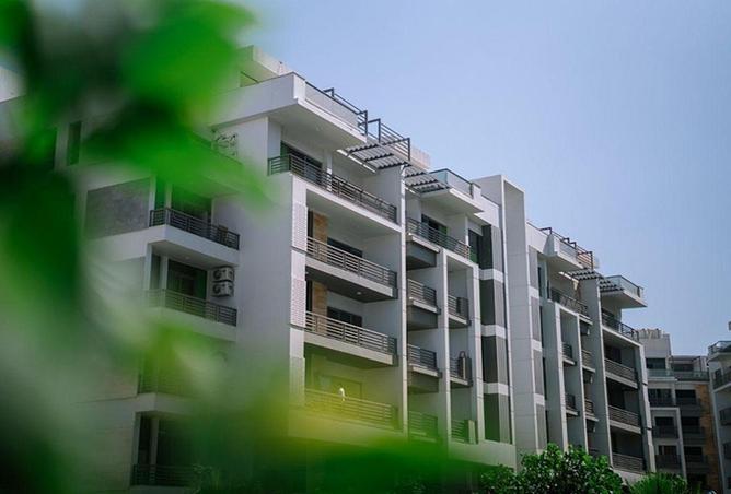 56004658 - صورة العقار 2